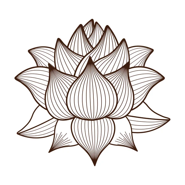 Flor de loto dibujo icono de diseño aislado — Vector de stock