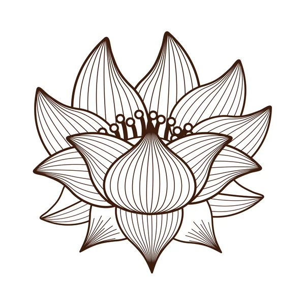 Flor de loto dibujo icono de diseño aislado — Vector de stock