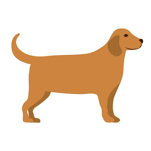 Mignon chien isolé icône conception — Image vectorielle
