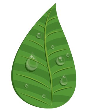 Su damlacıkları izole simgesi tasarım ile yaprak