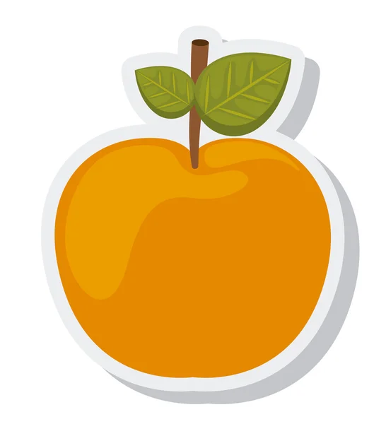 Oranje citrusvruchten geïsoleerd icoon — Stockvector