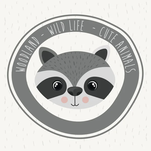 Raccoon cute wildlife icon — Stock Vector