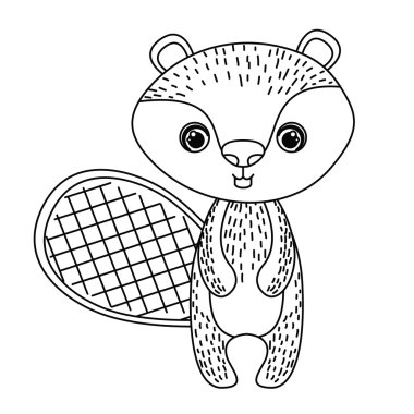 Kunduz sevimli yaban hayatı kutsal kişilerin resmi