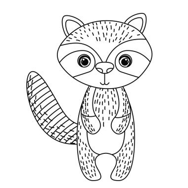 Rakun sevimli yaban hayatı kutsal kişilerin resmi