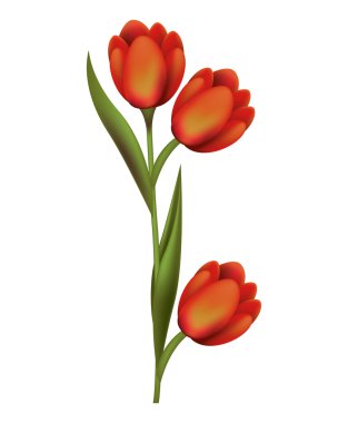 güzel çiçek izole simgesi