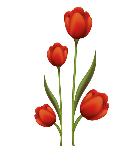 Schöne Blume isoliert Symbol — Stockvektor