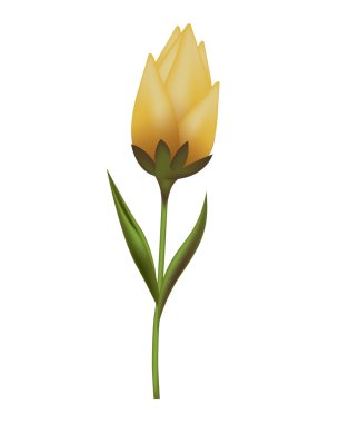 çiçek güzel izole simgesi