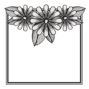 çerçeve çiçek kare dekorasyon izole