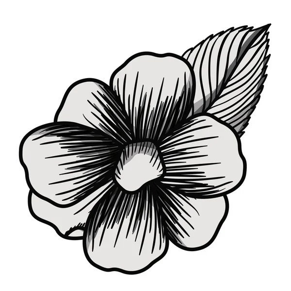 Bel disegno di fiore isolato — Vettoriale Stock