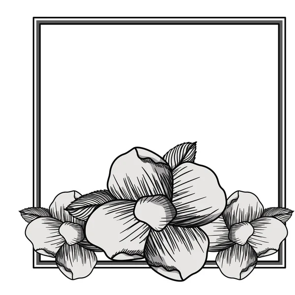 Cadre élégant avec décoration florale — Image vectorielle