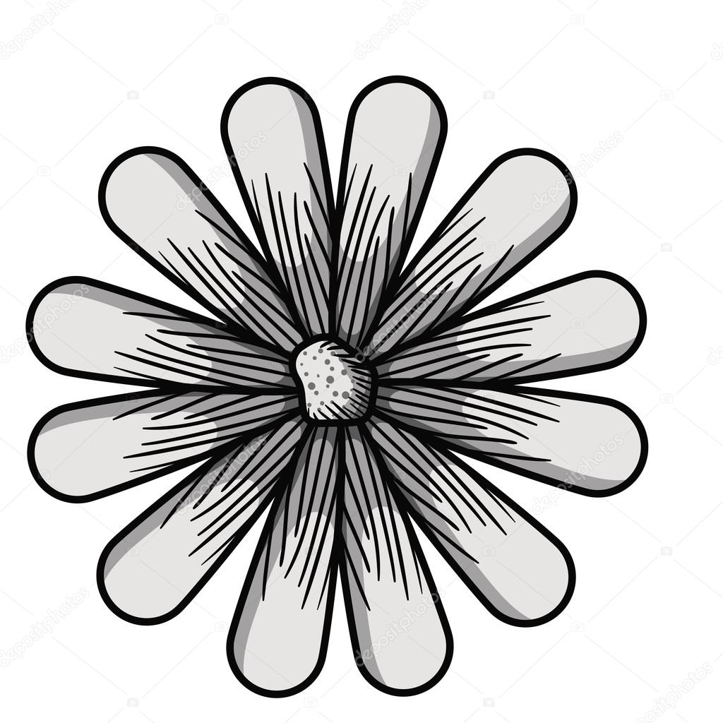 Rysunek Piękny Kwiat Na Białym Tle Grafika Wektorowa