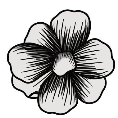 güzel çiçek Çizim izole