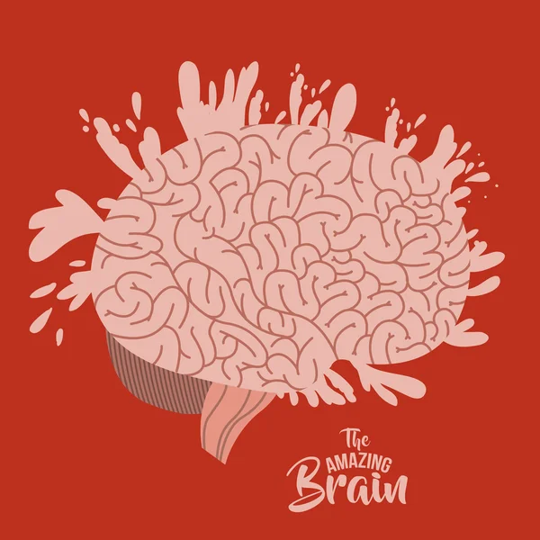 El increíble cerebro aislado — Vector de stock