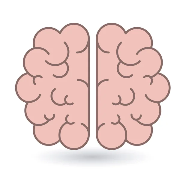 Hersenen menselijk orgaan geïsoleerd pictogram — Stockvector