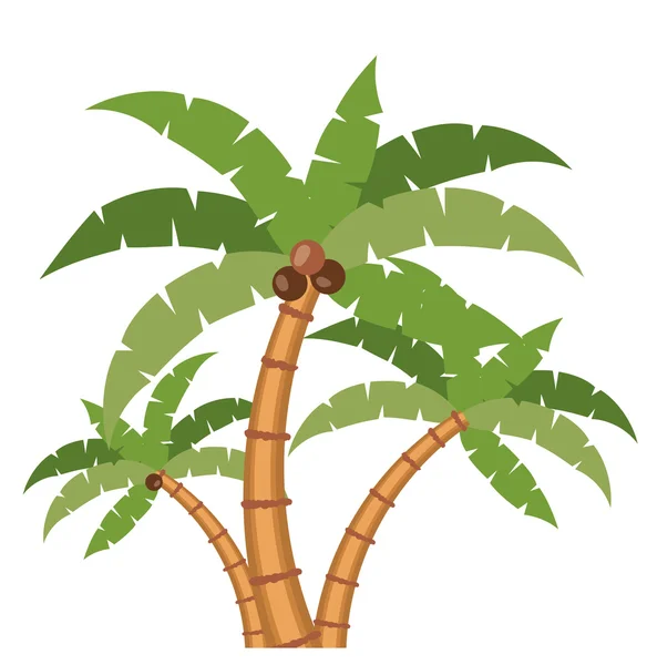 Palmiye ağaç doğa tasarım — Stok Vektör