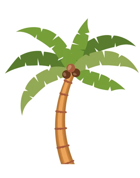 Palm tree přírodní design — Stockový vektor