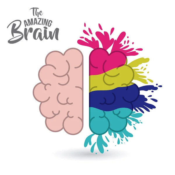 Το εκπληκτικό εγκεφάλου απομονωμένες — Διανυσματικό Αρχείο