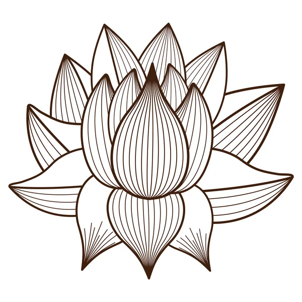 Diseño de flor de loto aislado — Vector de stock