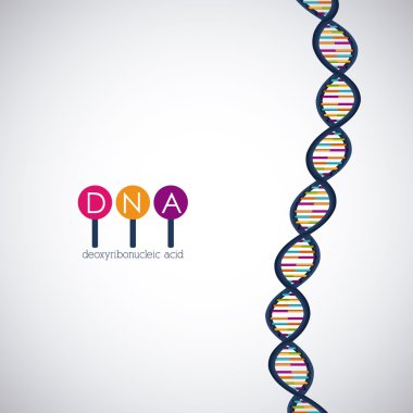 DNA yapısı kromozom tasarım