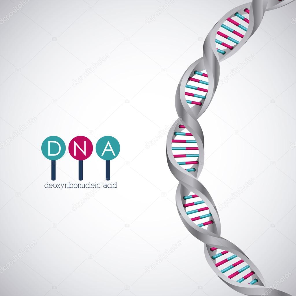Dna structure chromosome design
