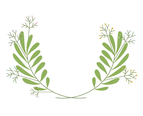 Conception de plantes à feuilles isolées — Image vectorielle