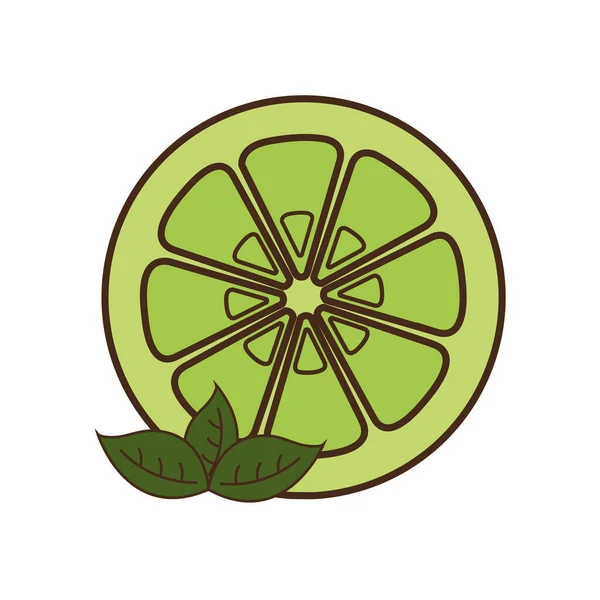 Yaprak çizgisi olan limon ve biçim ikonu vektör tasarımı — Stok Vektör