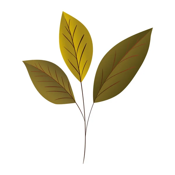 Jesienny projekt wektora liści — Wektor stockowy