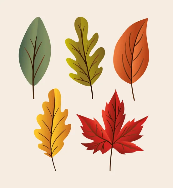 Autumn leaves set icons vector design — Stock Vector