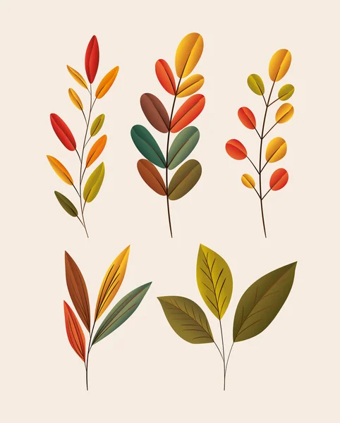 Autumn leaves set of icons vector design — Stock Vector