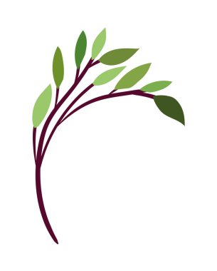 Beyaz arkaplanda şube simgesi