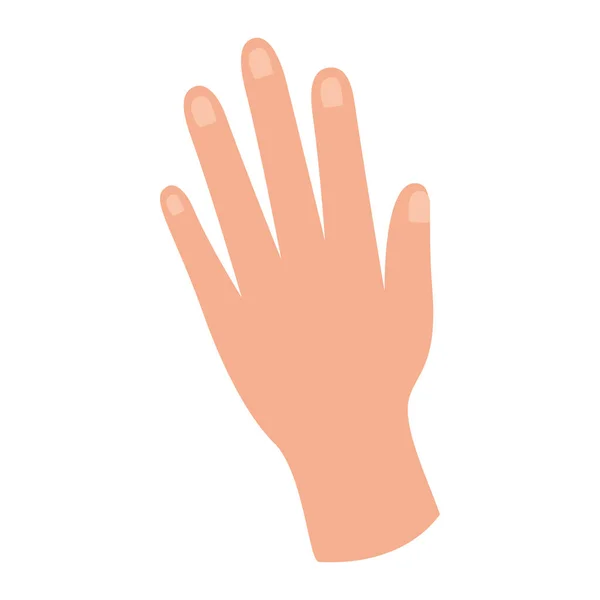 Icône de style plat à la main sur fond blanc — Image vectorielle