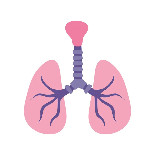 Lung with trachea doodle flat style icon — Stock Vector