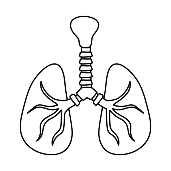 Płuco z ikoną linii doodle tchawicy — Wektor stockowy