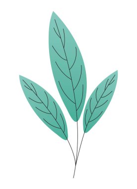 yeşil renkli yapraklar