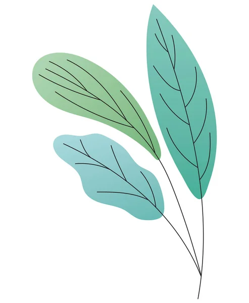Farklı türde yeşil yapraklar — Stok Vektör