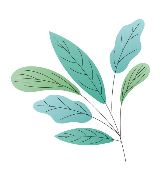 Blätter unterschiedlicher Art von Grün über weißem Hintergrund — Stockvektor