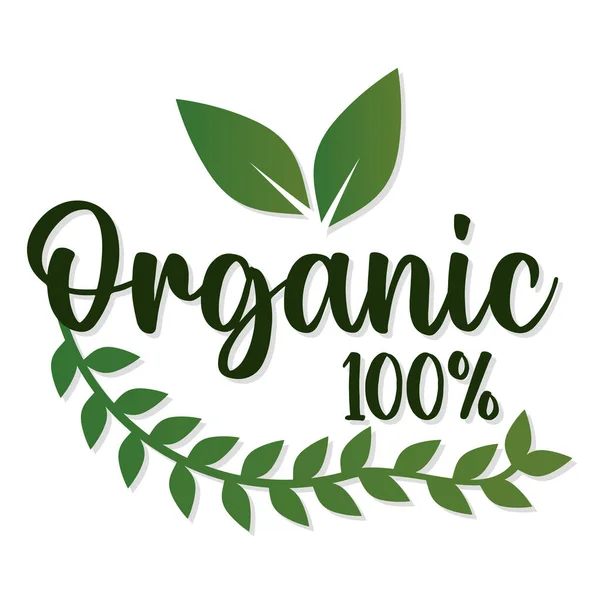 Orgânico 100% lettering com folhas sob ele — Vetor de Stock