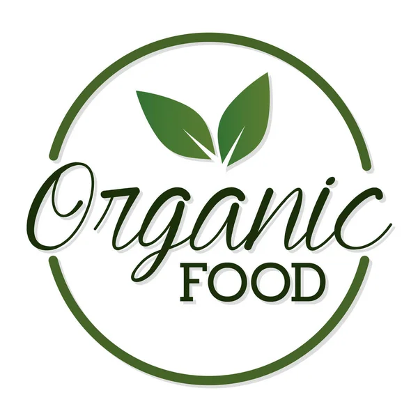 Letras de alimentos orgánicos con una hoja en la parte superior — Vector de stock