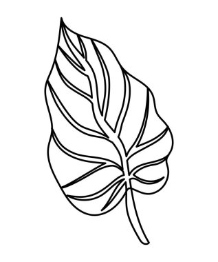 Beyaz arkaplan üzerine kök salmış yaprak