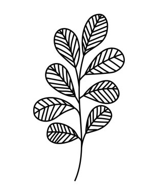 Kenarlarında sekiz yaprak var.