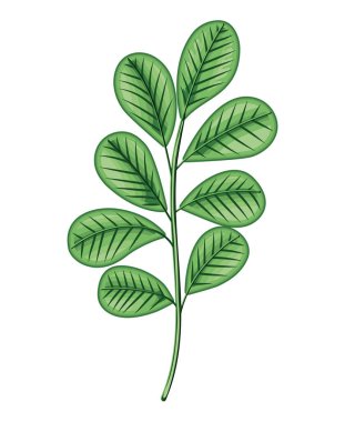 Kenarlarında sekiz yeşil yaprak var.