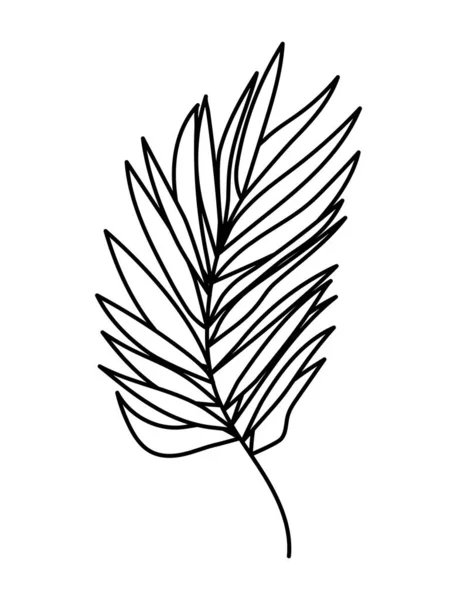 Φυτό με πολλά φύλλα με λευκό φόντο — Διανυσματικό Αρχείο