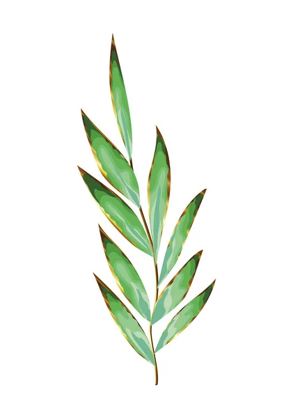 Πράσινα φύλλα και μεγάλο στέλεχος σε λευκό φόντο — Διανυσματικό Αρχείο