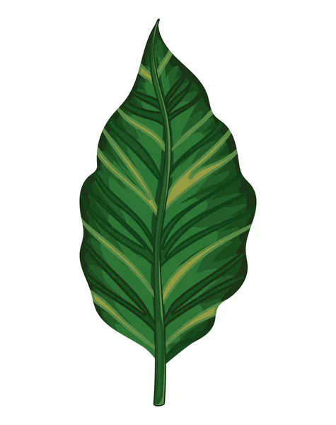 하얀 배경에 줄기가 있는 녹색 잎 — 스톡 벡터