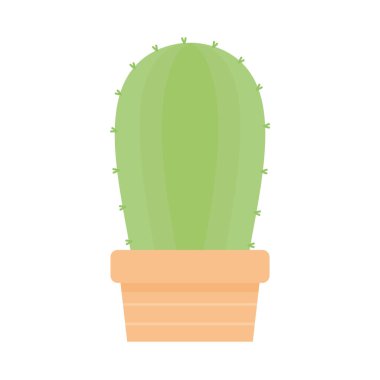 Yeşil renkli bir kaktüs ve beyaz arka plandaki bir tencerede.