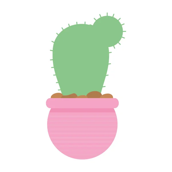 Cactus sobre una maceta de color rosa — Vector de stock