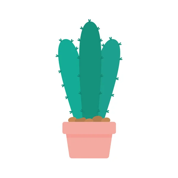 Kaktus med en grön färg och över en kruka på en vit bakgrund — Stock vektor