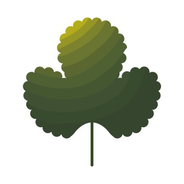 Beyaz arkaplanda sapı olan yeşil yaprak