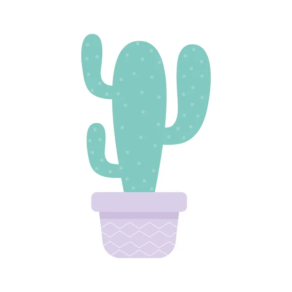 Cactus sobre una olla púrpura — Vector de stock