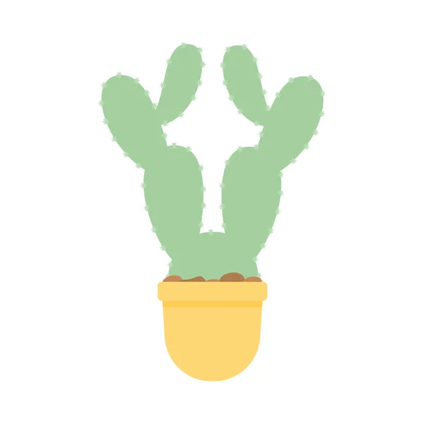 Cactus with a green color over a white background — Stock Vector